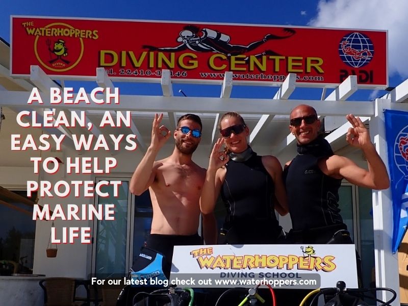 A Beach Clean, An Easy Ways to Help Protect Marine Life 